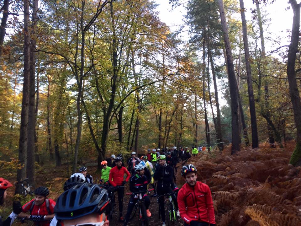 GravelBlo, du vélo gravel au coeur de la foret de Fontainebleau. GravelBlo, du vélo gravel au coeur de la foret de Fontainebleau.