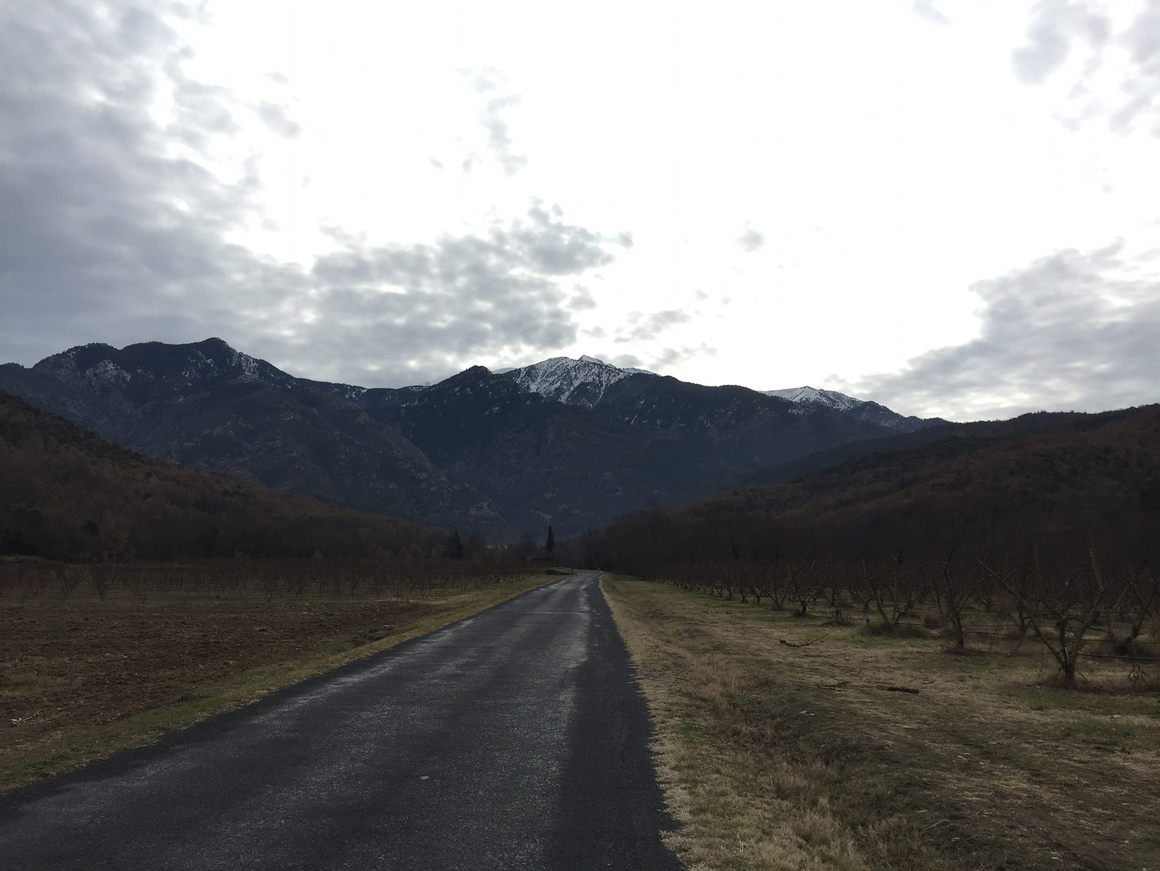 Route vers le Canigou Route vers le Canigou