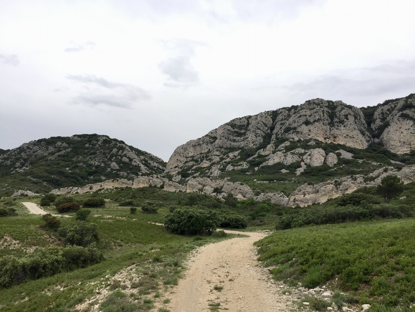 piste DFCI dans les Alpilles piste DFCI dans les Alpilles