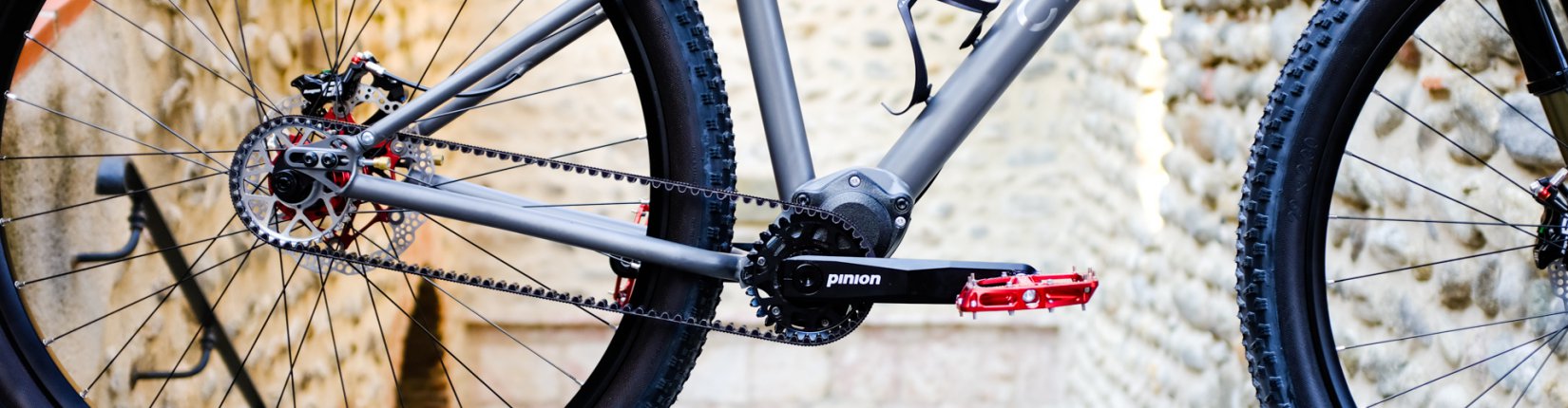Dcouvrez le VTT All Mountain titane d'Adam, un vlo unique. Cadre sur mesure, transmission par courroie Pinion 12 vitesses (600% de gamme) et fourche inverse pour un comportement trail exceptionnel.