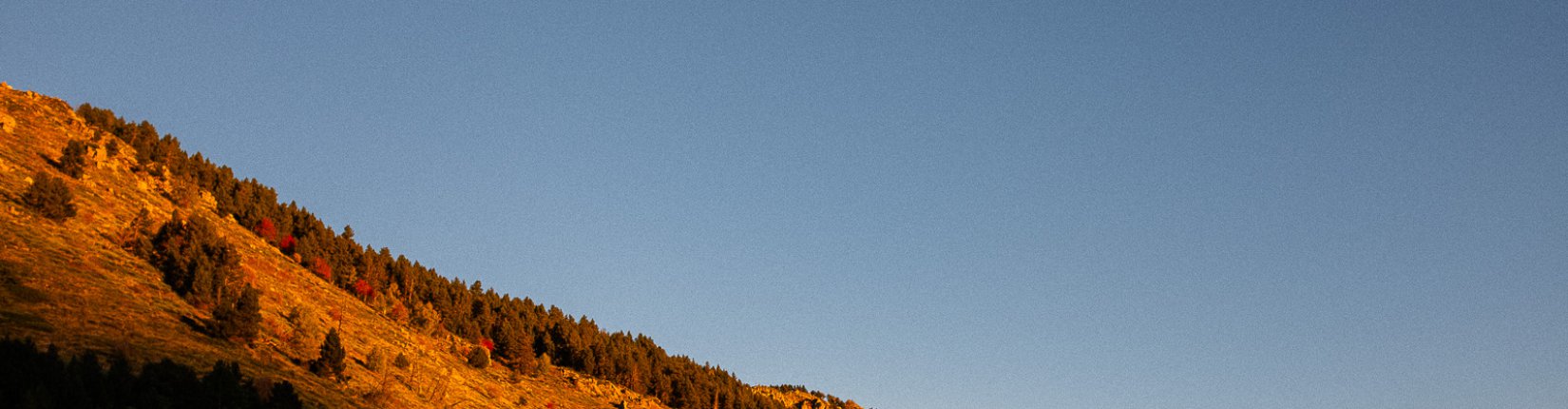 Et les gagnants des Dmineurs sont .....