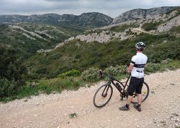 Gravel Bike in Les Alpilles