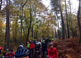 GravelBlo, du vélo gravel au coeur de la foret de Fontainebleau.