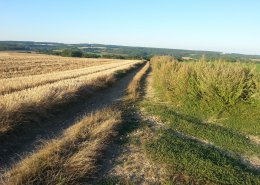 La Gravelxinoise, c'est ce week-end dans le Vexin