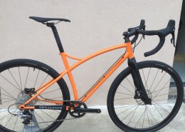 Have a look at Régis gravel bike
