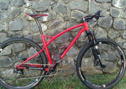 Franck's bespoke SimpleTrack MTB 29er