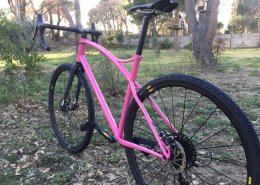 Pierre's gravel bike