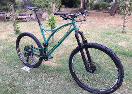 Guillaume steel MTB One4All