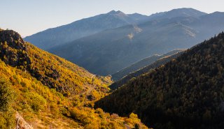 Et les gagnants des Dmineurs sont .....