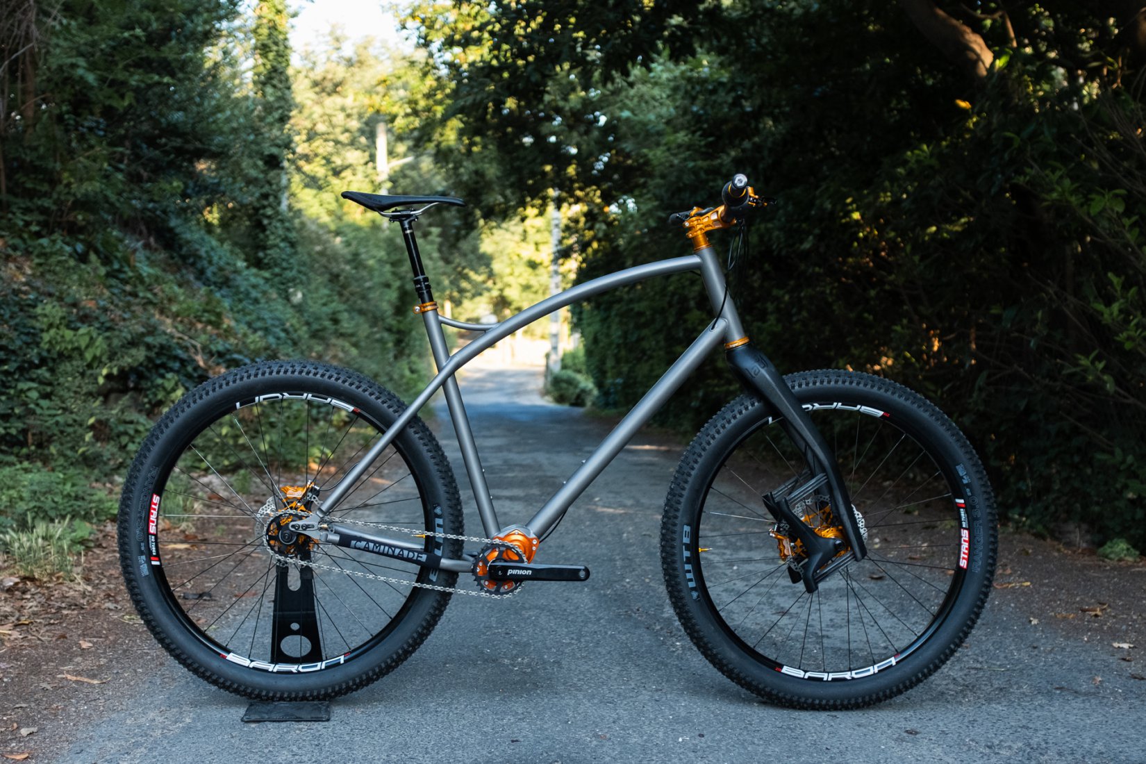 pinion gravel bike