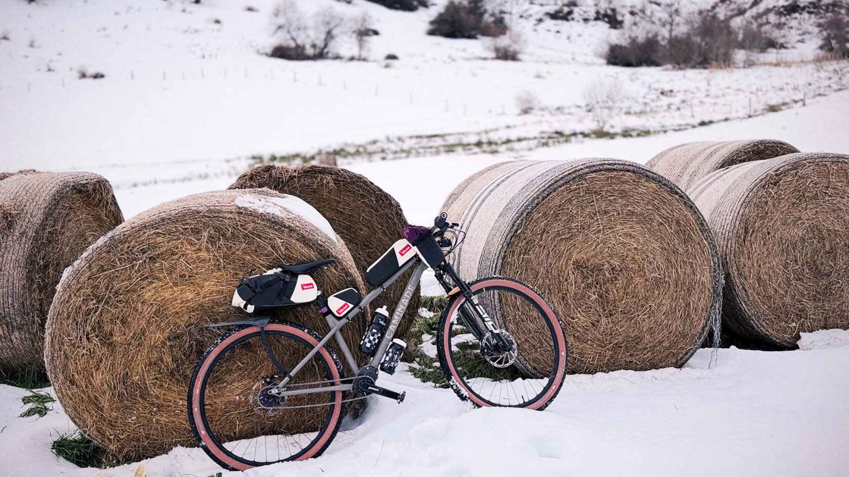 Le VTT de longue distance : 1768299701.img_9444.jpg