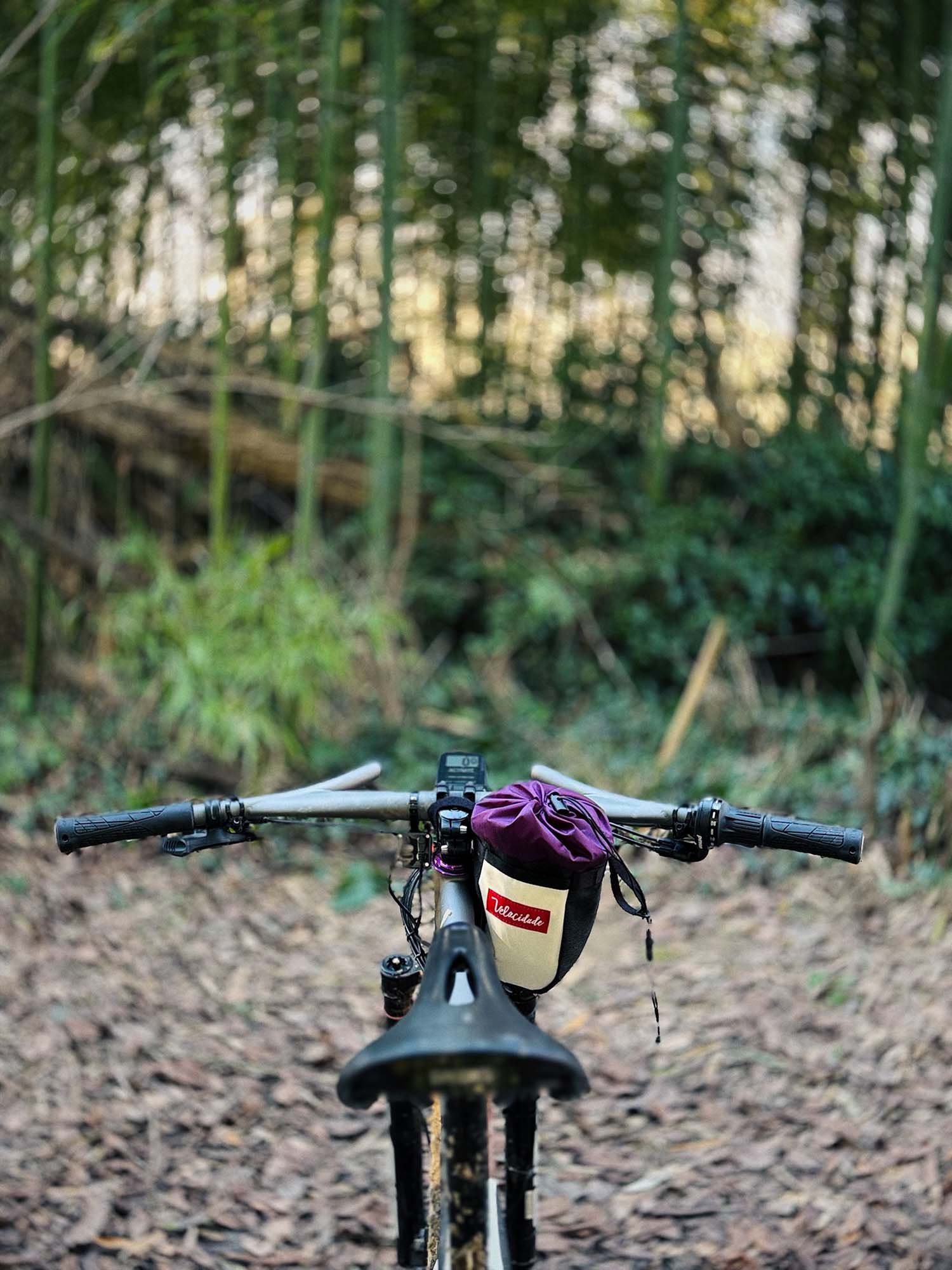 Le VTT de longue distance : 1768300038.img_8942.jpg