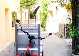 Camigo - Le tricycle Caminade