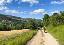 Gravel, VTT et grands espaces : lascension en roue libre