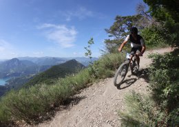 Gravel, VTT et grands espaces : lascension en roue libre