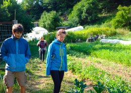 Vlo, tente et couches : litinrance dans les Cvennes