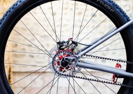 VTT Titane Pinion