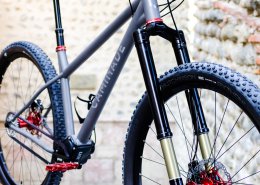 VTT Titane Pinion