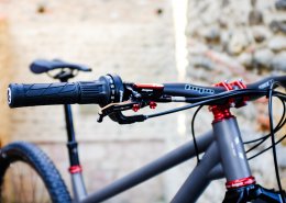 VTT Titane Pinion