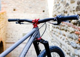 VTT Titane Pinion