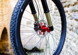 VTT Titane Pinion
