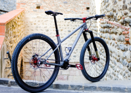 VTT Titane Pinion