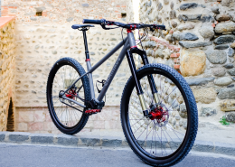 VTT Titane Pinion