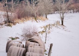 Le VTT de longue distance