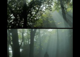 Les D�mineurs : Le film